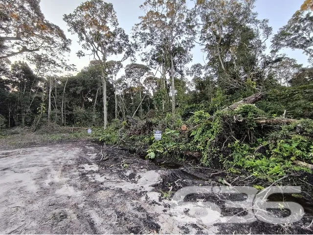 Descubra o Potencial do Seu Novo Terreno em Balneá