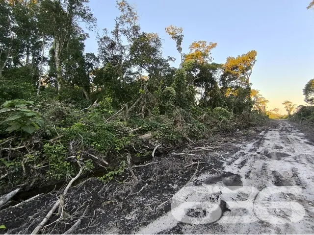Descubra o Potencial do Seu Novo Terreno em Balneá