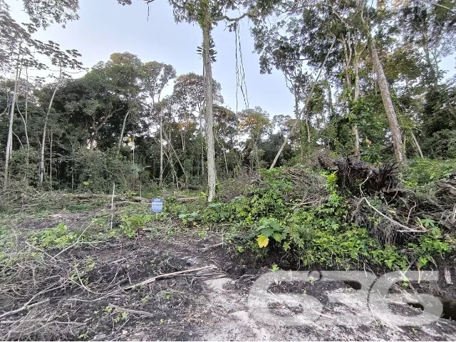 Descubra o Potencial do Seu Novo Terreno em Balneá