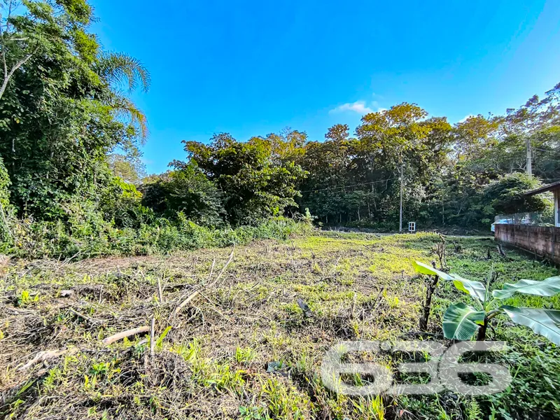 Terreno plano e pronto para o seu projeto em Balne