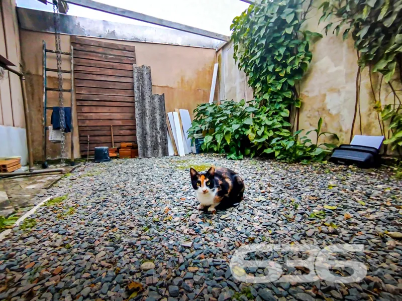 CASA COM POMAR NO BAIRRO COSTEIRA, BALNEÁRIO BARRA