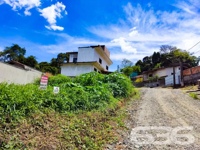 TERRENO À VENDA, situado no bairro Floresta, zona 