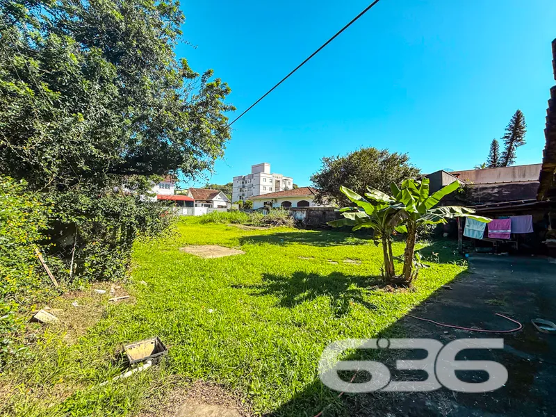 Oportunidade Única no Bairro Anita Garibaldi! Terr