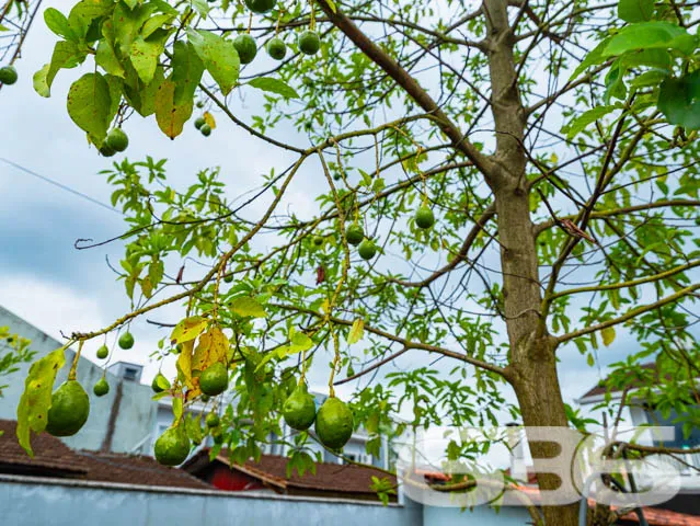 Descubra o encanto do sobrado no bairro Aventureir