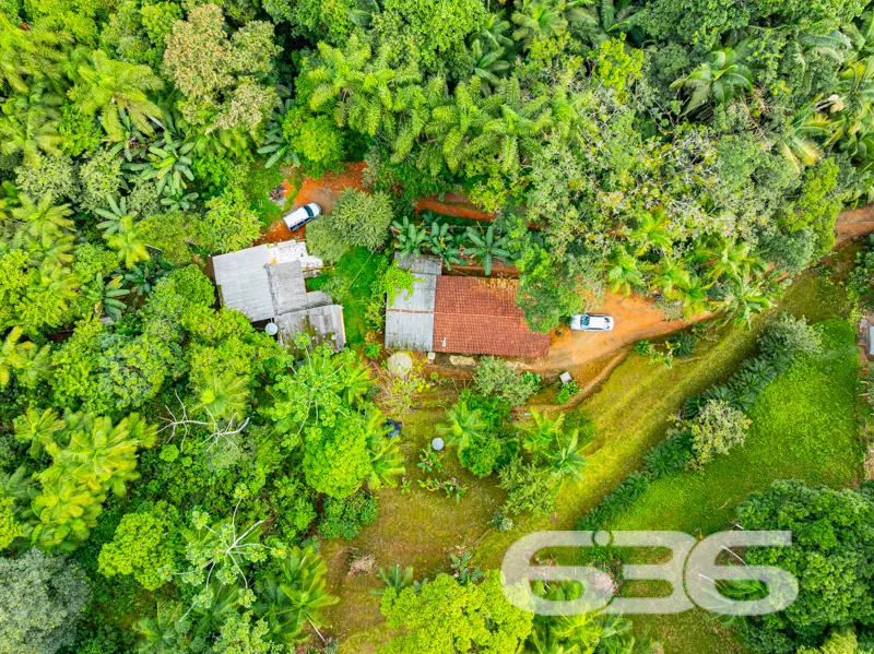 Amplo terreno com mais de 5.000 mÂČ em Joinville: l