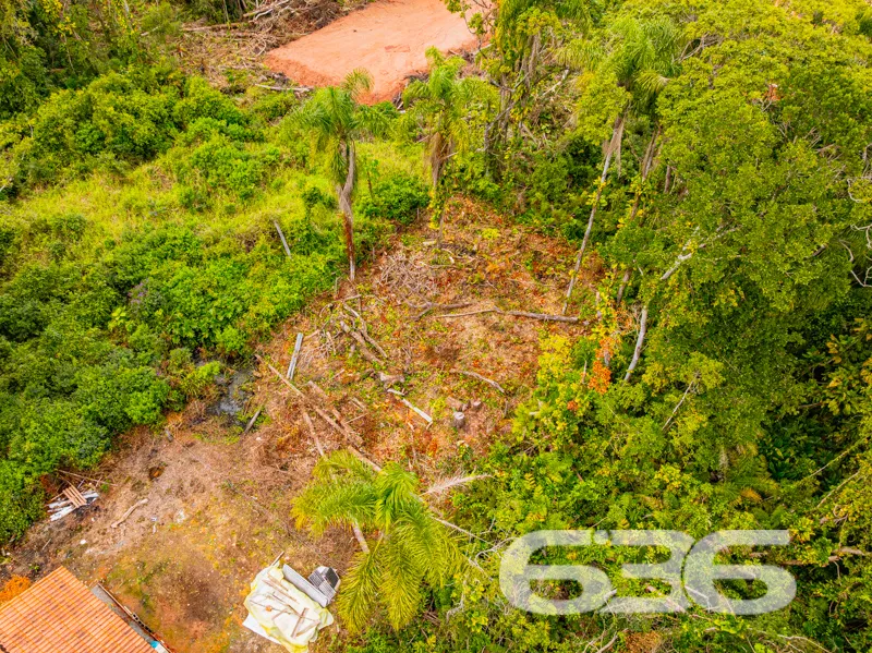 Você está à procura do investimento ideal em uma l