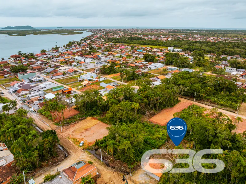 Você está à procura do investimento ideal em uma l