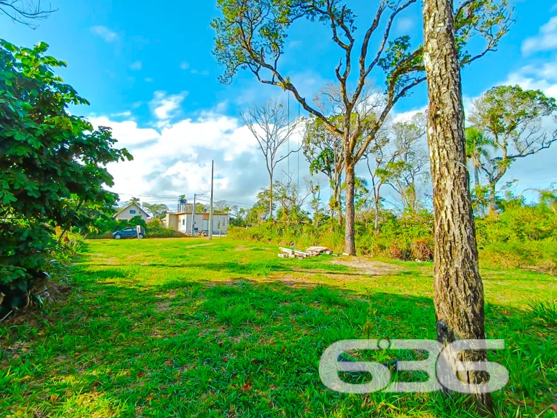 Terreno à venda – Bairro Ervino, São Francisco do 