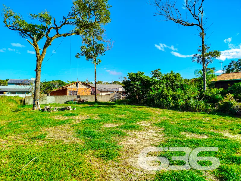 Terreno à venda – Bairro Ervino, São Francisco do 
