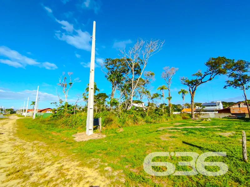Terreno à venda – Bairro Ervino, São Francisco do 