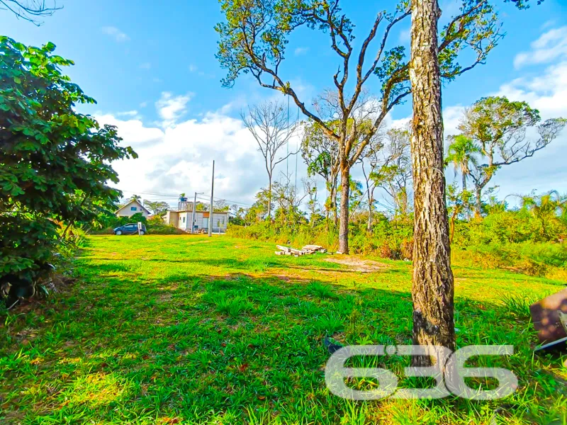 Terreno à venda – Bairro Ervino, São Francisco do 